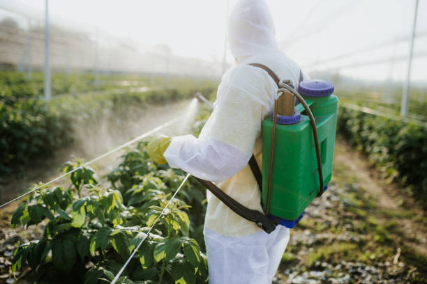 Trusted Coldwater, MS Pest Control Experts